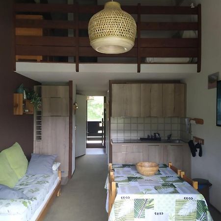 Duplex 3 Pieces. Pieds Des Pistes Et Balcon! Apartamento Gresse-en-Vercors Exterior foto