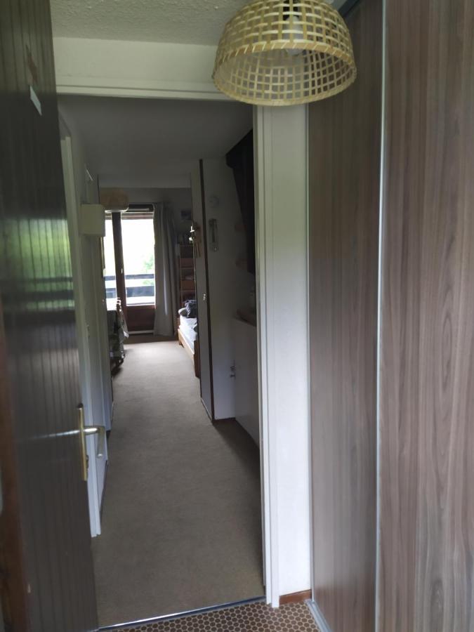 Duplex 3 Pieces. Pieds Des Pistes Et Balcon! Apartamento Gresse-en-Vercors Exterior foto