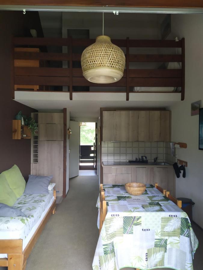 Duplex 3 Pieces. Pieds Des Pistes Et Balcon! Apartamento Gresse-en-Vercors Exterior foto